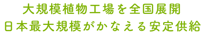 大規模植物工場を全国展開日本最大規模がかなえる安定供給