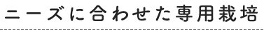ニーズに合わせた専用栽培