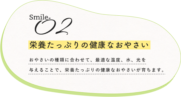 栄養たっぷりの健康なおやさい